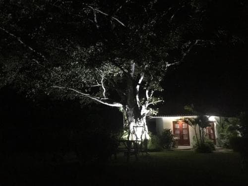 La Casa De Pucha