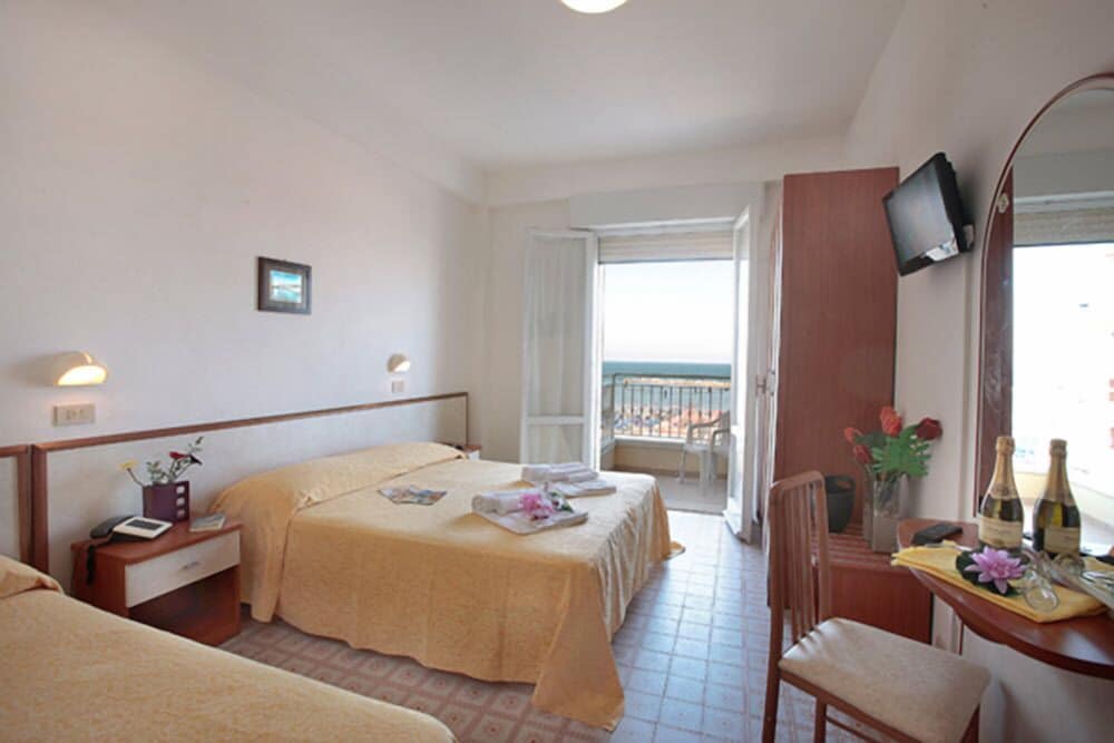 Hotel David