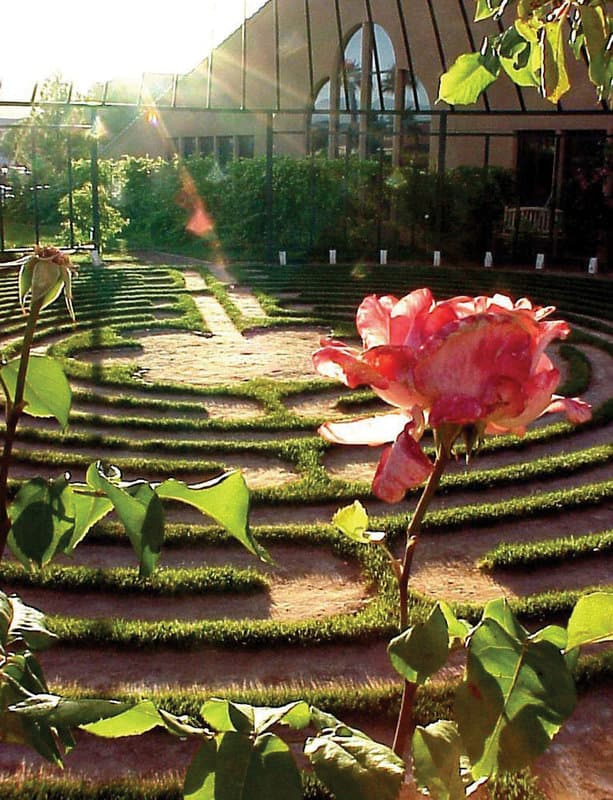 Amira Resort and Spa