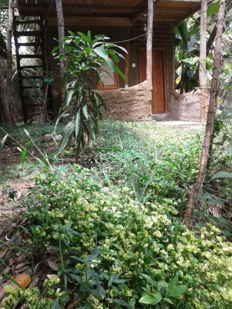 Green leaf cabanas
