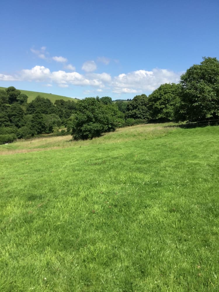 Oxbridge Farm