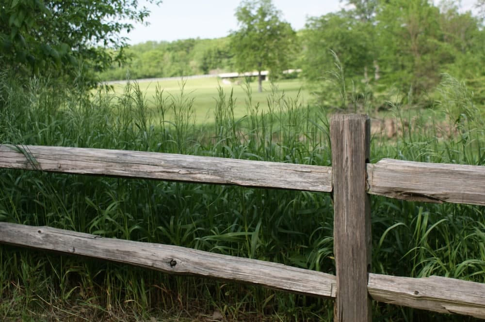 Timber Creek Bed & Breakfast