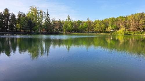 Albergo Lago Verde