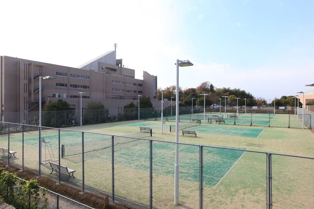 Tresta Shirayama