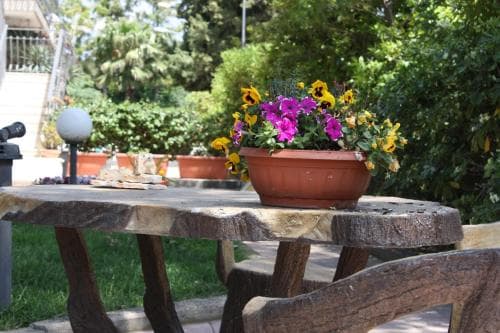 Athena Garden