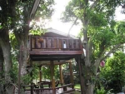 อิงภูเมาท์เท่นวิว เขาใหญ่