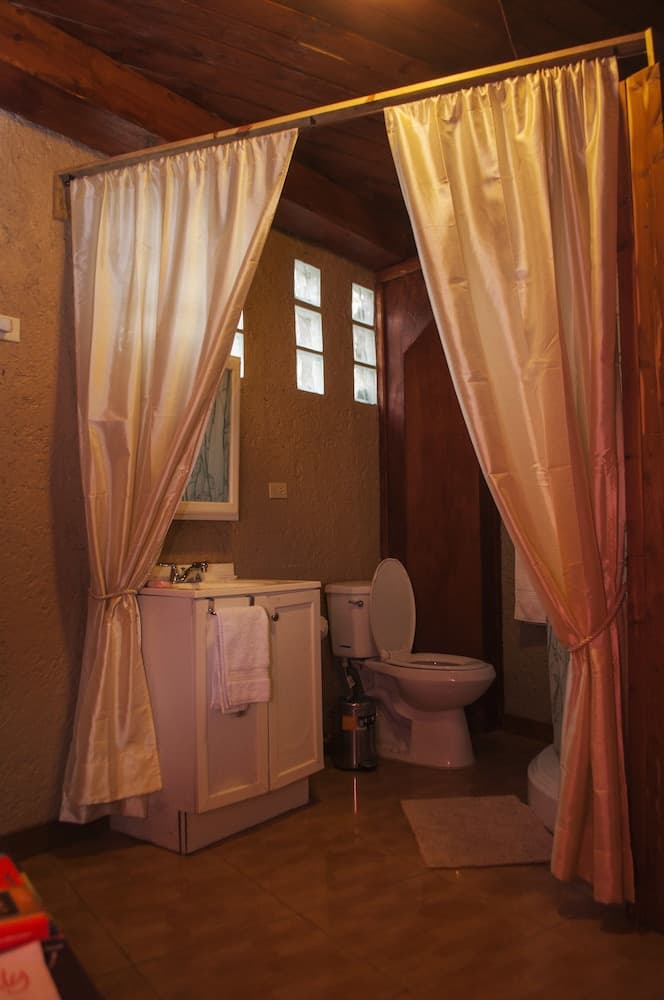 A cozy cabin bathroom with wooden ceilings, soft curtains dividing spaces, a white vanity with a mirror, and a toilet, ideal for rustic retreats seeking privacy and charm.