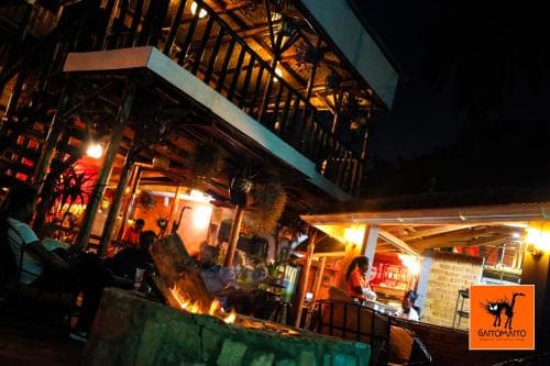 Gattomatto Inn