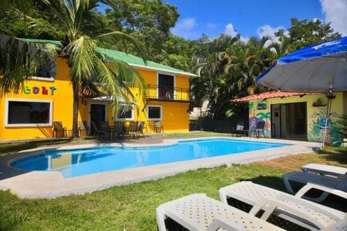 Wipeout Hostel