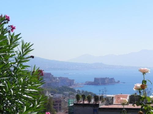 A serene coastal view featuring vibrant flowers in the foreground, a historic castle on an island, and distant mountains under a clear blue sky, ideal for travelers seeking picturesque Mediterranean vistas.
