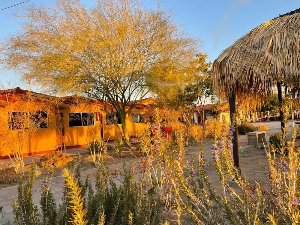 Las Palmas Hotel