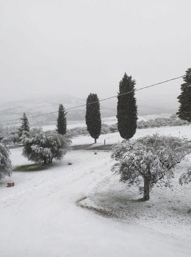 Agriturismo Barbi