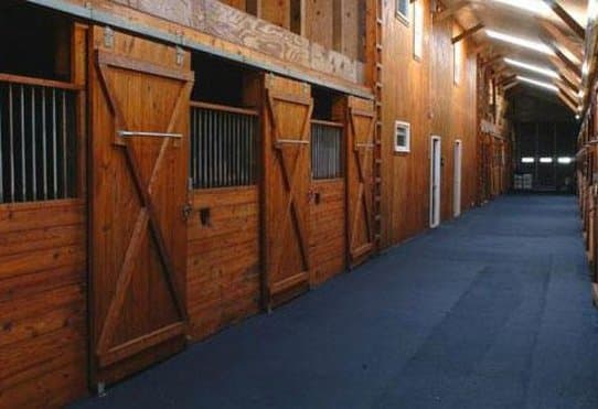 B & B Ranch
