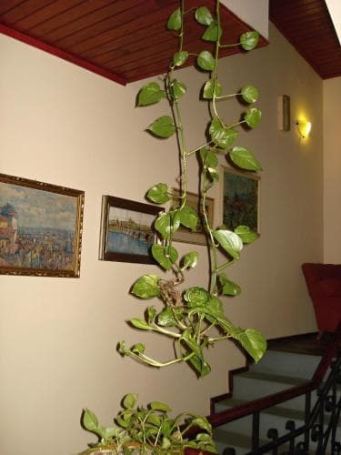Hotel Hormeda