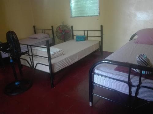 Hostel Papagayo