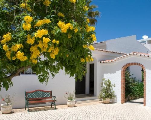Sollagos Studios