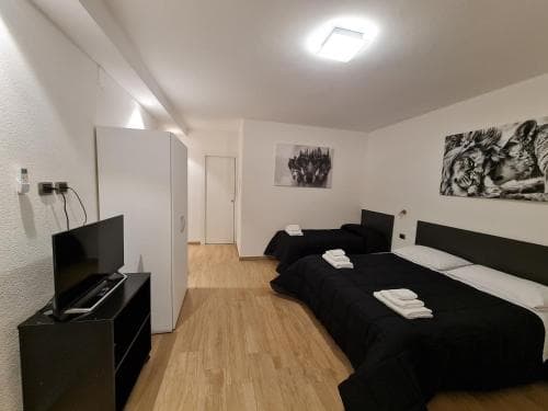 B&B Monti