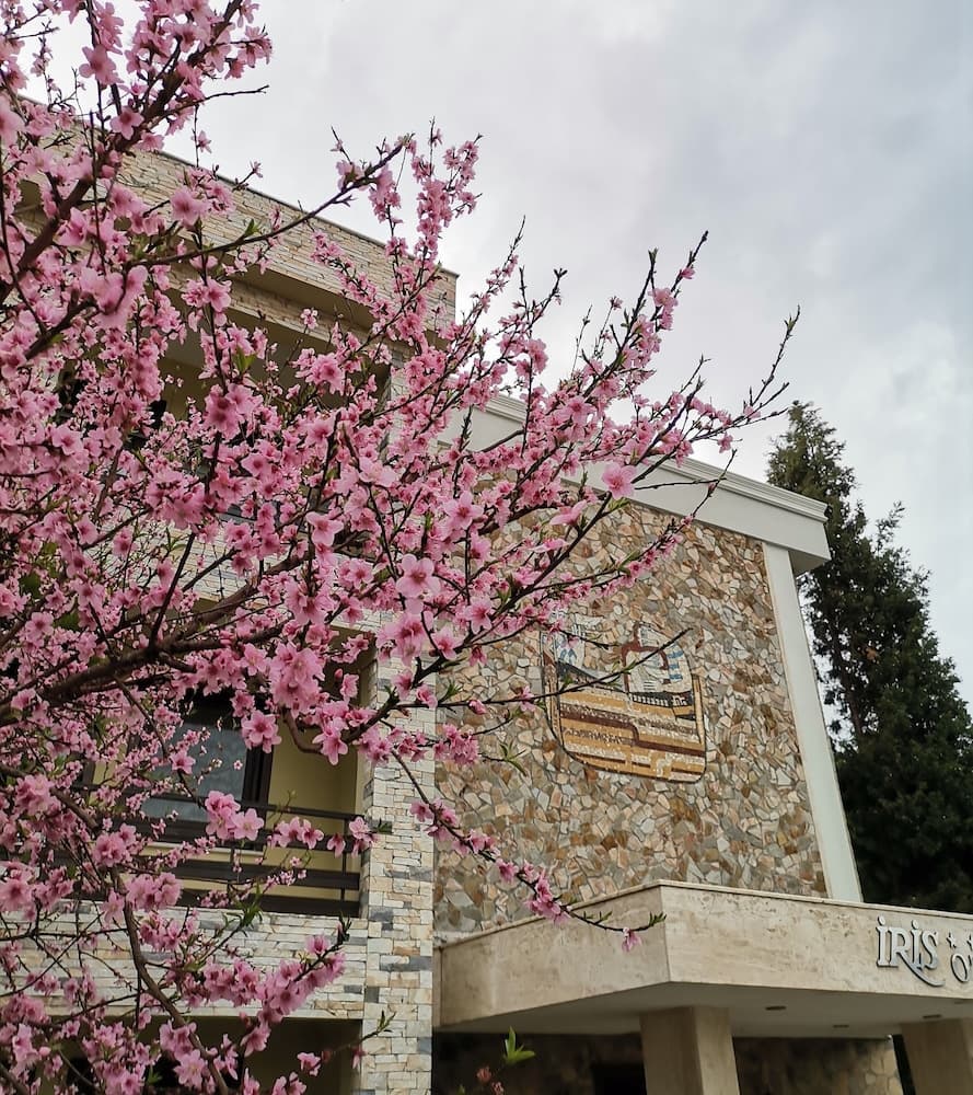 Iris Hotel & Spa
