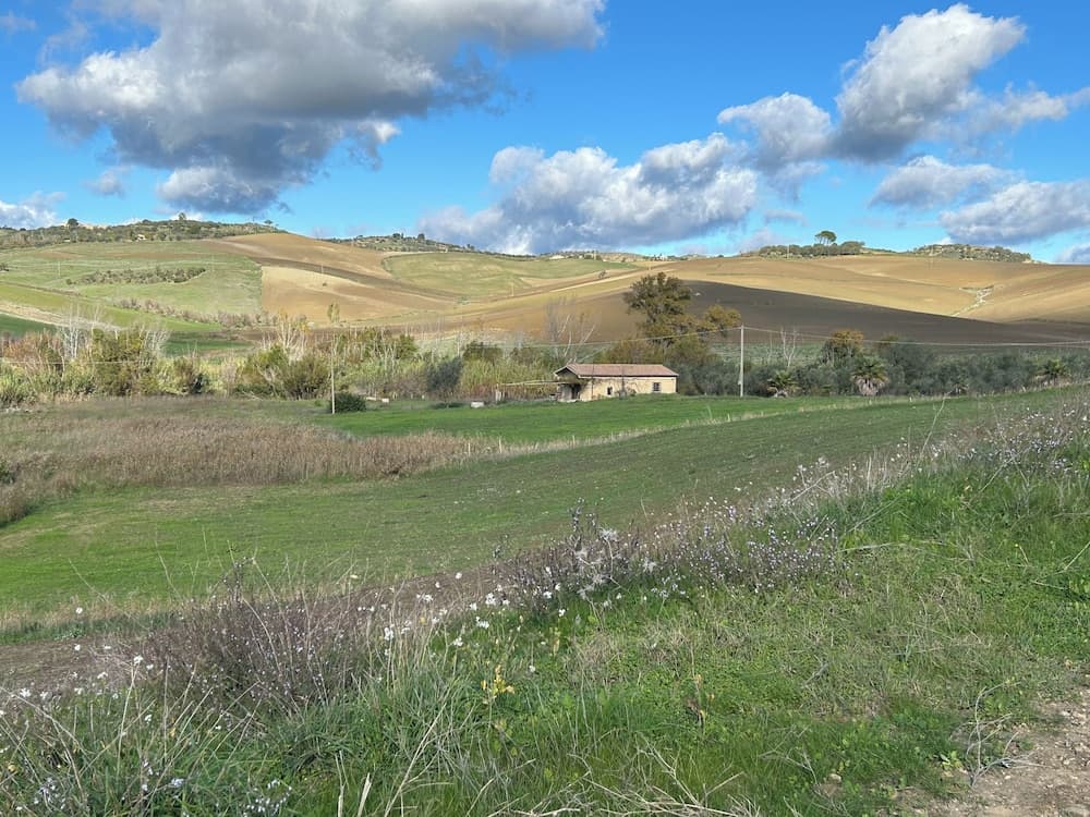 L Angolo sulla Piazza