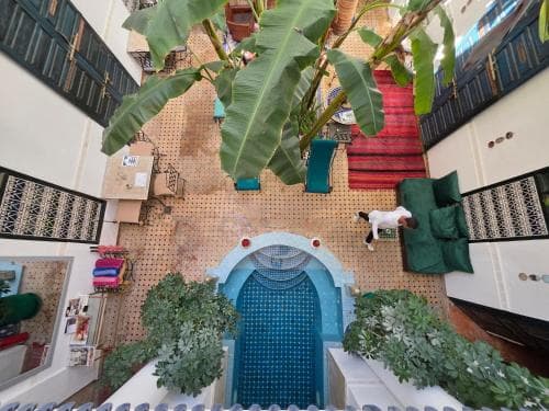 Riad Aloes