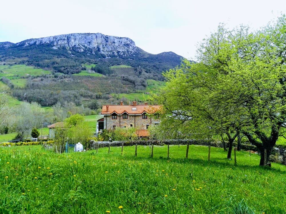 Finca Artienza