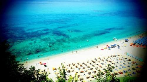Hortis Tropea