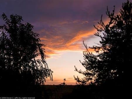 Wild Rose Manor Bed And Breakfast
