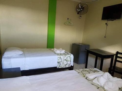 Los Helechos Hostal