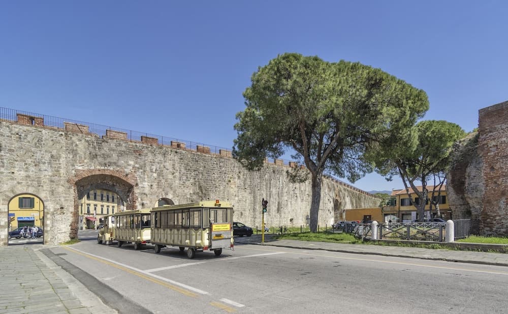 A Casa Doina Tower