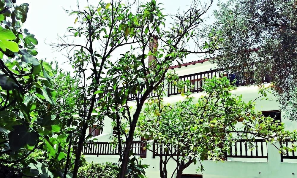 Naftilos Skiathos