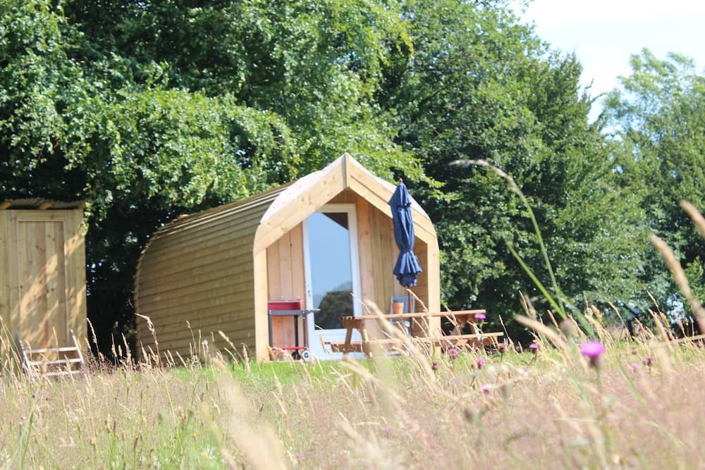 Green Tree Glamping