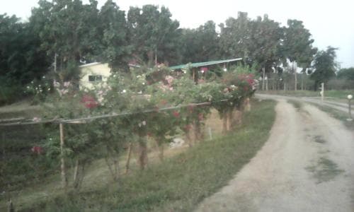 Phang Phet Residence