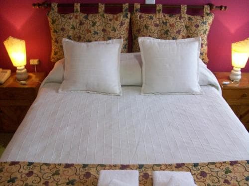 Hotel Viedma