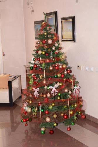 Hostel Ami