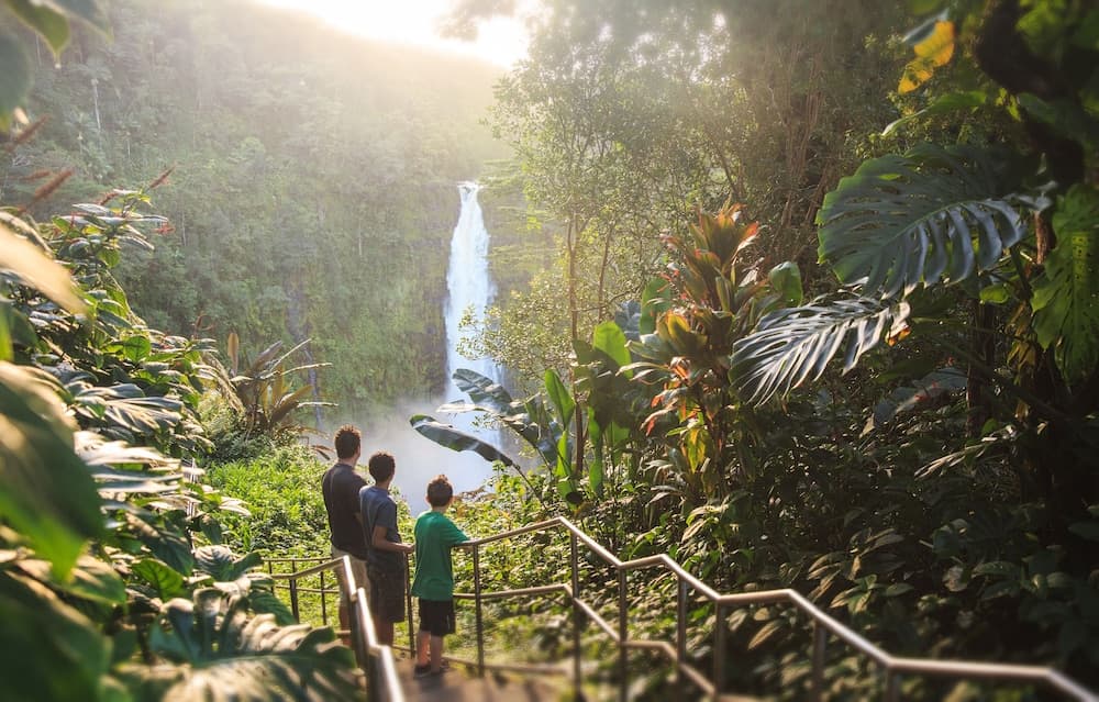 A family gazes at a stunning waterfall cascading through lush tropical foliage, creating an enchanting atmosphere ideal for adventure seekers exploring serene natural wonders.