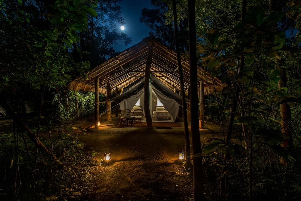 Tiger Tops Jungle Lodge