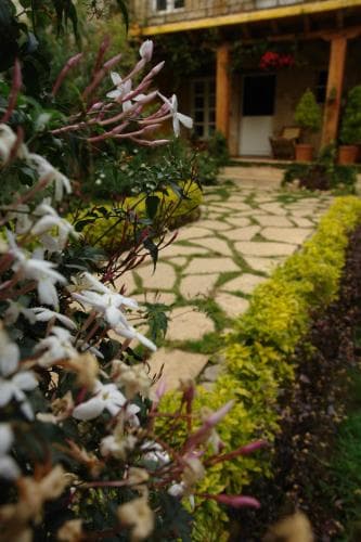 Hotel Posada Primavera