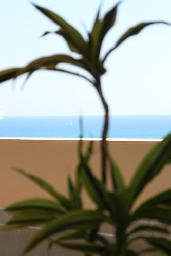 B&B Mare Dentro