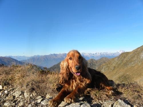 B&B Santa Brigida
