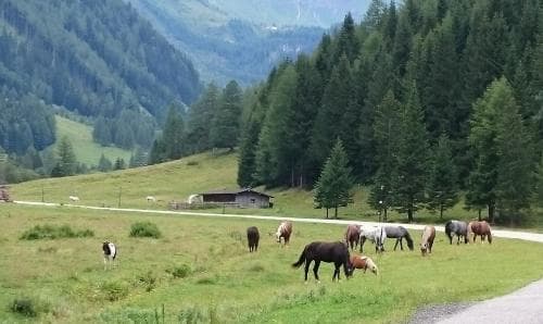 Parkvilla Mallnitz