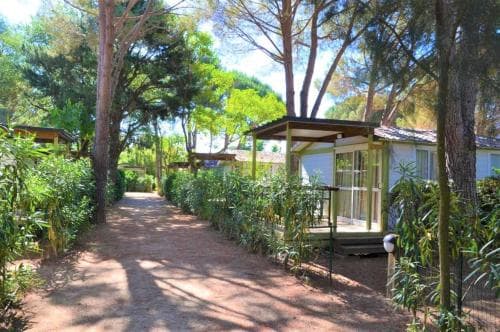Camping la Pinède Enchantée