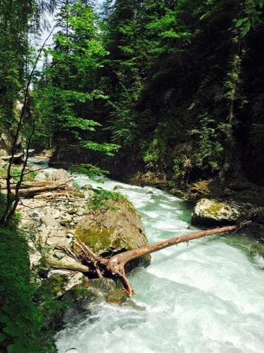 Hotel Garni Regina