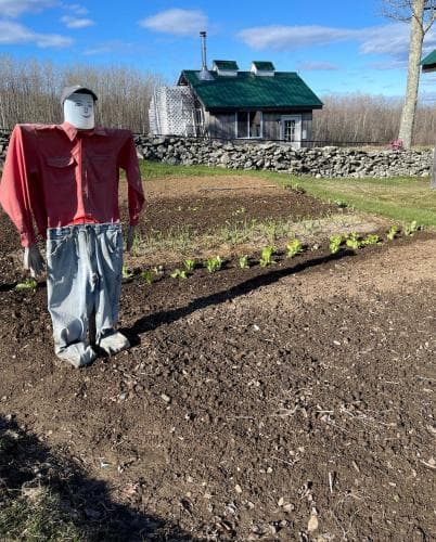 Blueberry Fields Bed & Breakfast