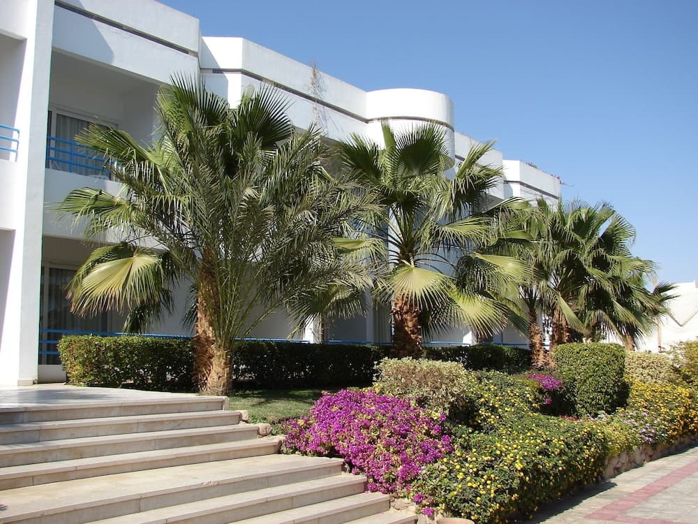 A serene tropical resort scene features lush palm trees, vibrant flower beds, and modern white architecture under a clear blue sky, ideal for vacationers seeking relaxation and natural beauty.