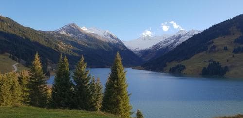 Alpenrose Pension