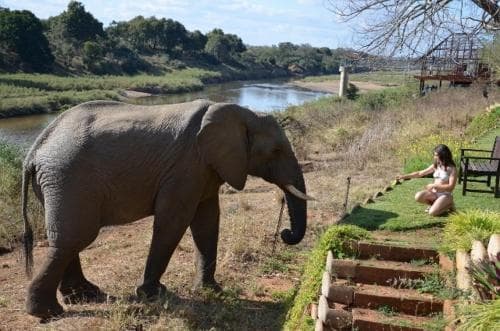 Khandizwe River Lodge