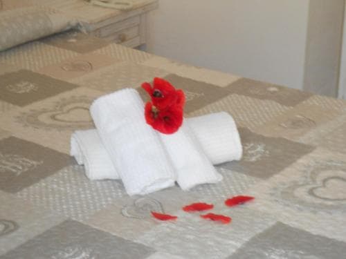 Hotel Tabby