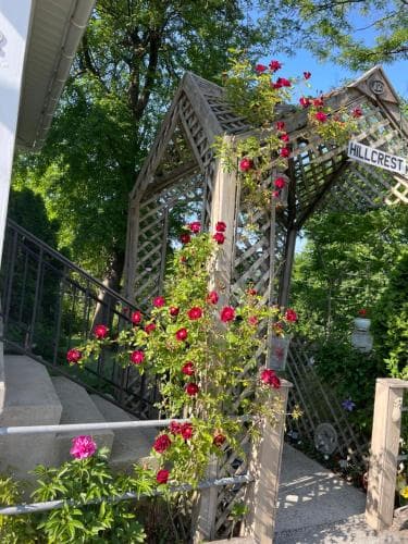 Hillcrest Bed and Breakfast