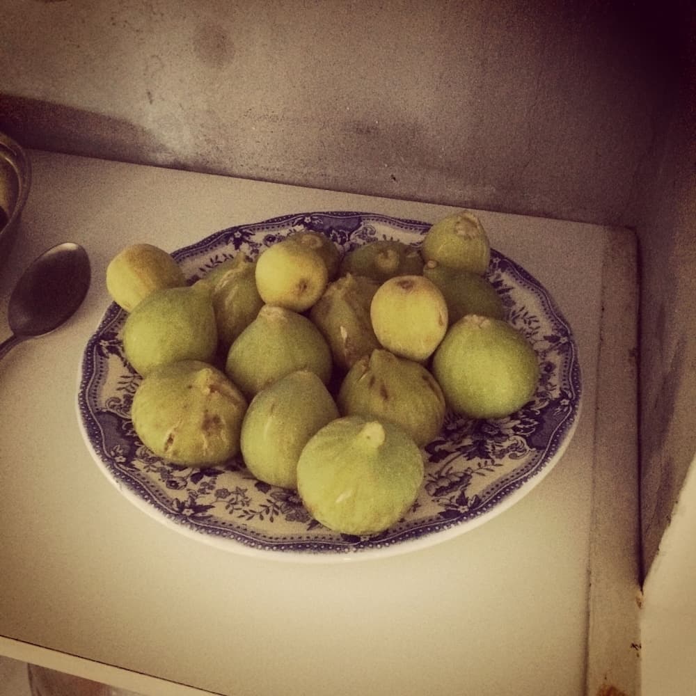 Mediterraneo