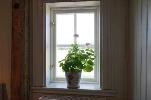A cozy indoor scene features a vibrant potted plant on a windowsill, framed by a bright window overlooking a serene landscape, ideal for travelers seeking peaceful accommodations.